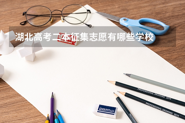 湖北高考二本征集志愿有哪些学校