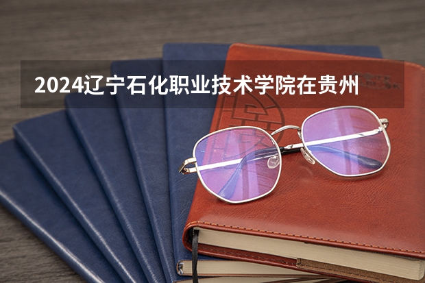 2024辽宁石化职业技术学院在贵州招生计划