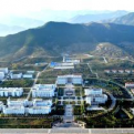 米乐app官网下载
