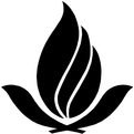 米乐app官网下载