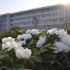 米乐app官网下载